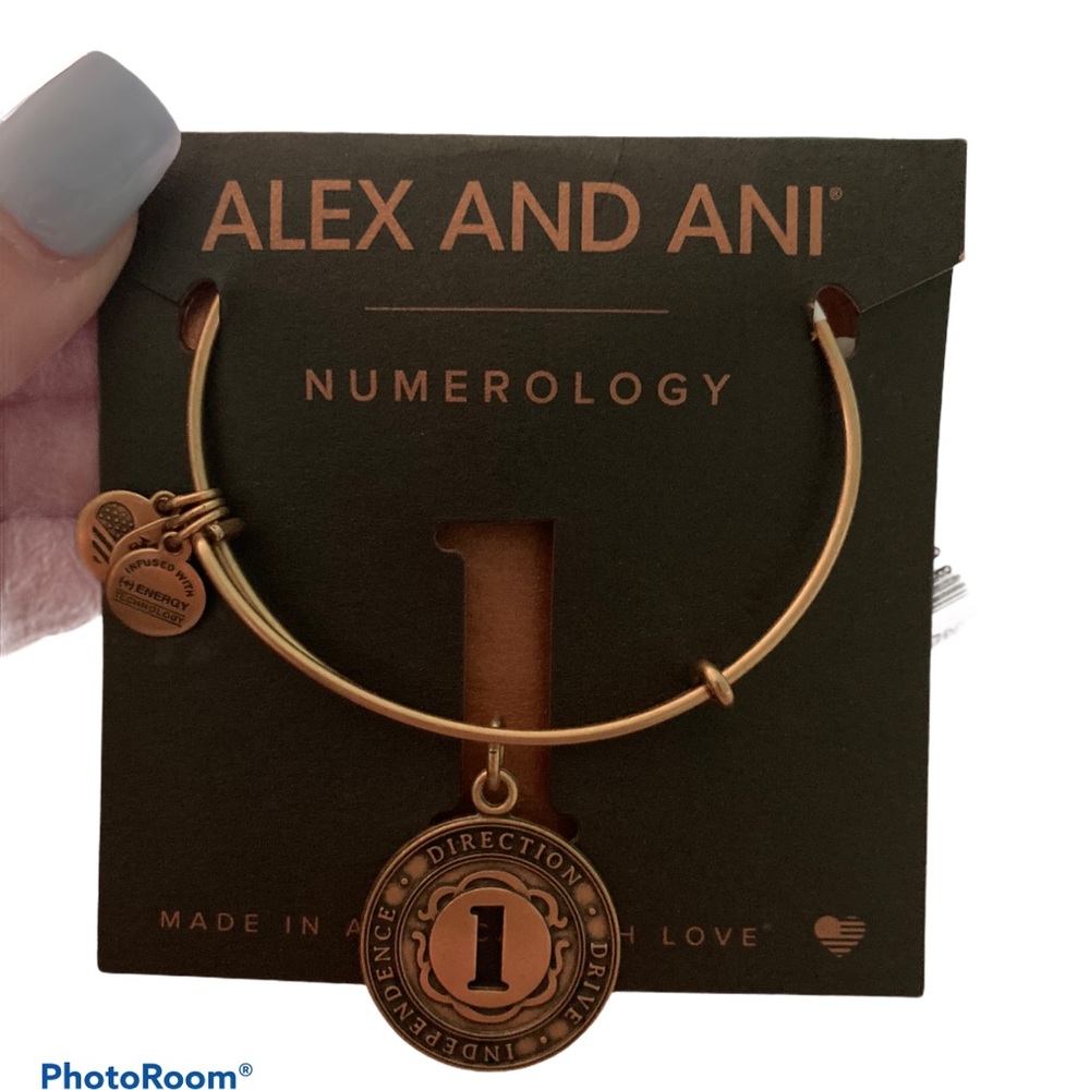 Alex and Ani Numerology Bracelet 1